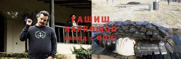 ECSTASY Семикаракорск