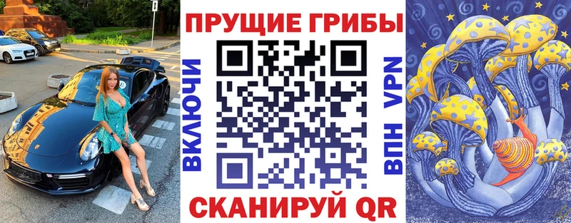 Купить где  Ясногорск  Галлюциногенные грибы Psilocybe 